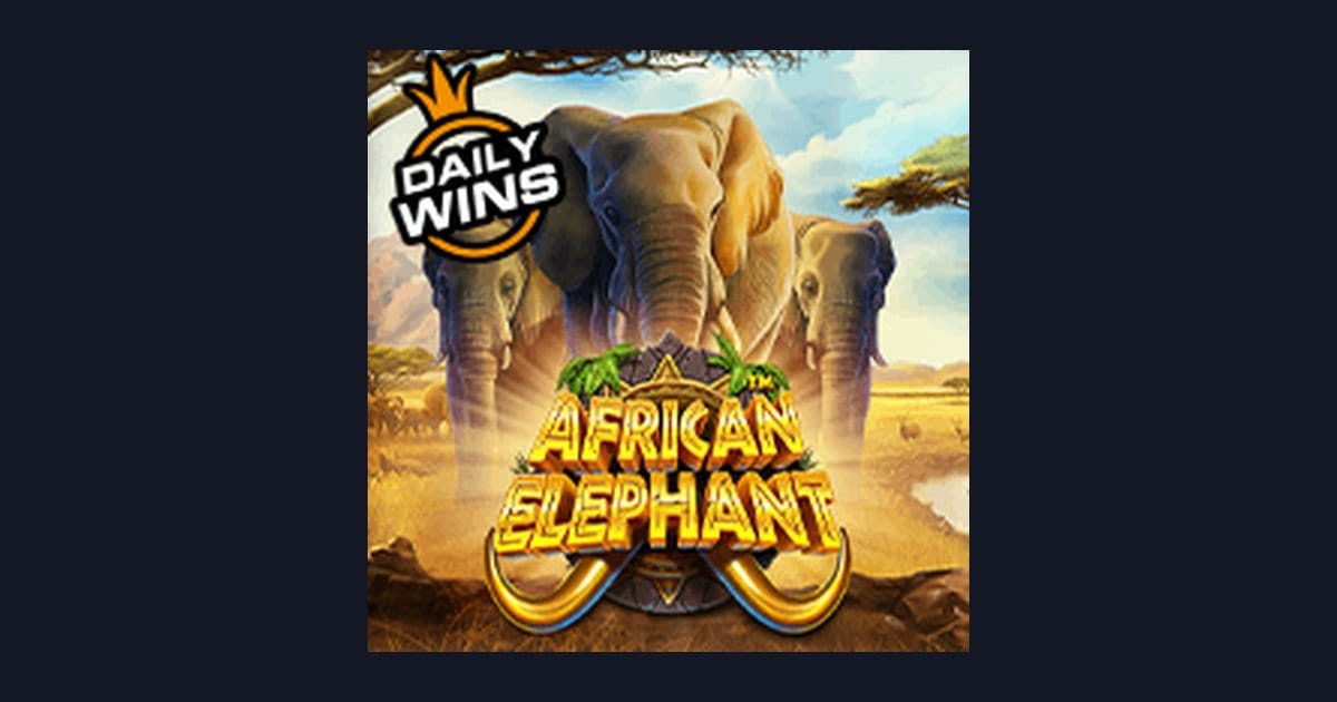 Bocoran RTP Hari Ini dan Tips Jitu Bermain African Elephant